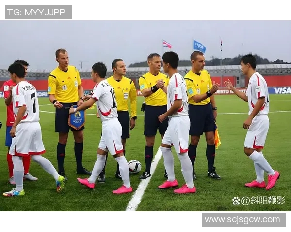 昔日王者世界杯预选赛状态下滑,何去何从? 昔日王者世界杯预选赛状态下滑,何去何从?