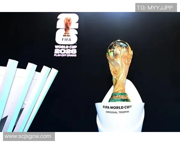 世界杯期间球票炒至天价,黄牛猖獗