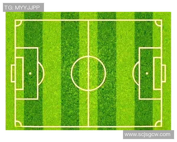 足球比赛观众密度与球队主场表现的相关性研究